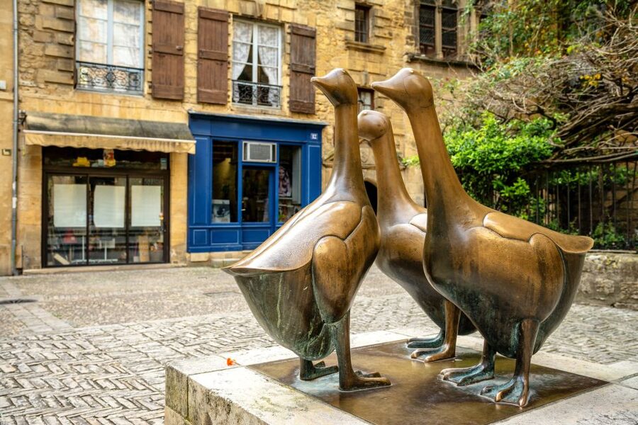 Sarlat Gourmet Tour & Market Visit with Tastings - Who should book this experience