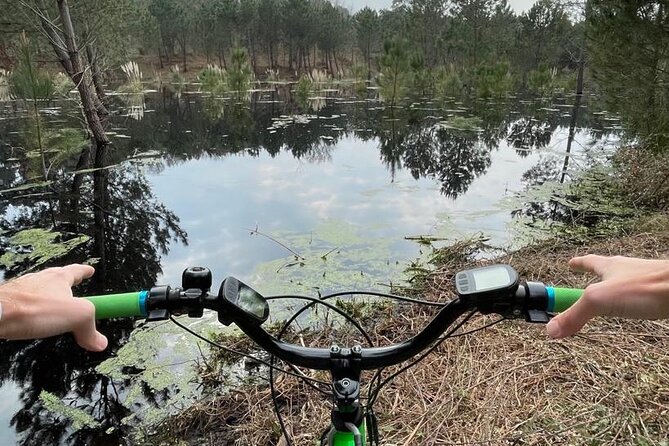 Seignosse electric scooter excursion - Riding a fat scooter through the Landes forest