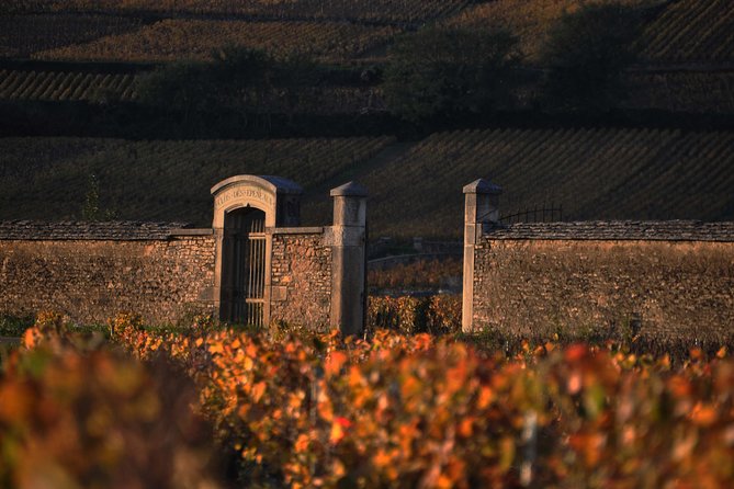 Small-Group Full-Day Tour of Côte de Nuits, Côte de Beaune Vineyards and Beaune Historical District - Beaune: two hours to eat and wander