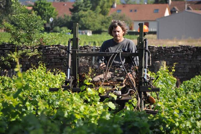 Small-Group Full-Day Tour of Côte de Nuits, Côte de Beaune Vineyards and Beaune Historical District - Who will get the most from this day