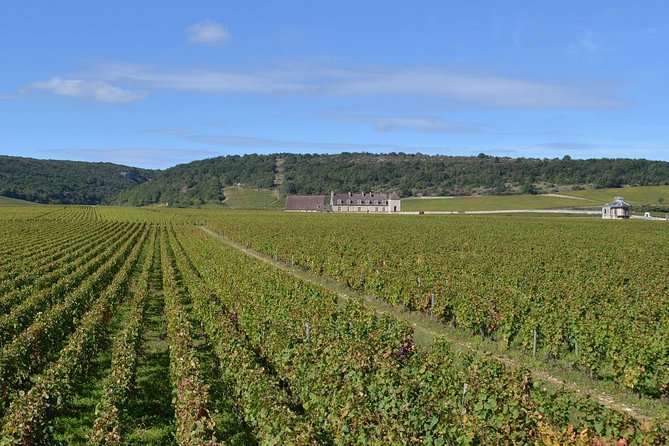 Small-Group Full-Day Tour of Côte de Nuits, Côte de Beaune Vineyards and Beaune Historical District - Starting at Place Darcy with a small group
