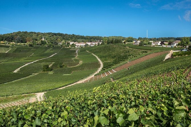 Small Group - Half Day Champagne Tour - Visit of 2 Small Producers/Growers - Two growers instead of one famous Champagne house