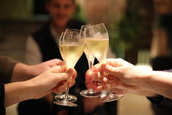 Small Group - Half Day Champagne Tour - Visit of 2 Small Producers/Growers - Meeting at Reims station keeps the day easy