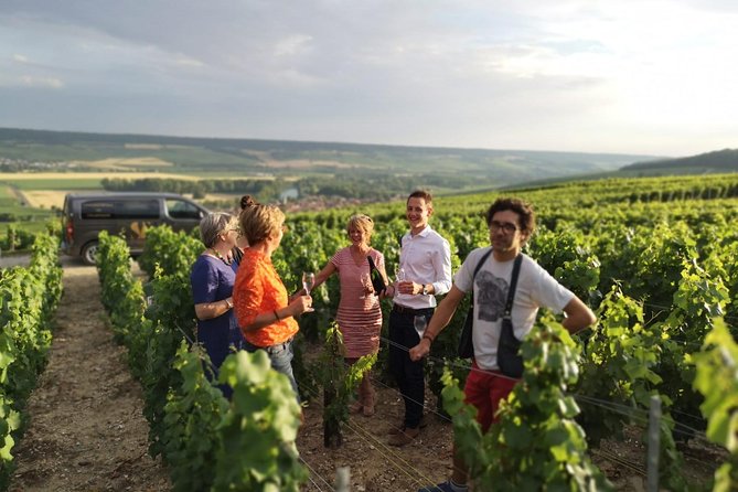 Small Group - Half Day Champagne Tour - Visit of 2 Small Producers/Growers - Second producer: compare the house style