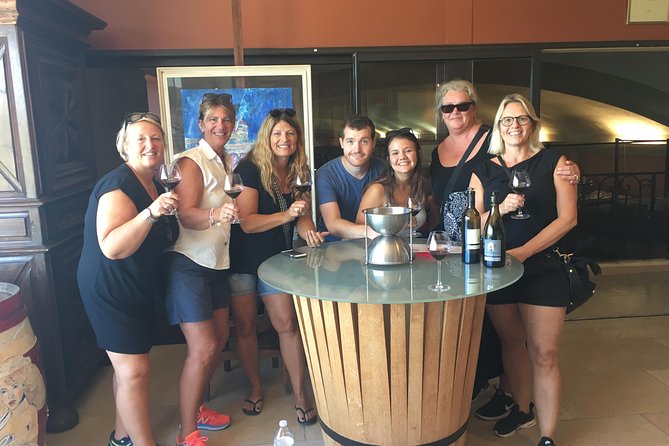 Small-Group Half-Day Languedoc Pic Saint-Loup Wine Tour from Montpellier - The minivan and group size
