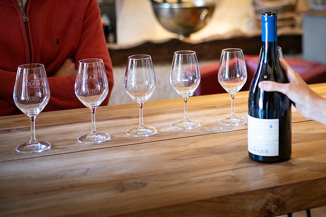 Small-Group Half-Day Languedoc Pic Saint-Loup Wine Tour from Montpellier - Who should book this tour?