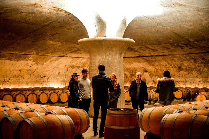 St-Emilion & Médoc Wine Day Tour: Chateaus, Tastings and Lunch - Why this Bordeaux wine day works