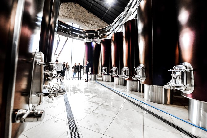 St-Emilion & Médoc Wine Day Tour: Chateaus, Tastings and Lunch - Food, water, and the practical details