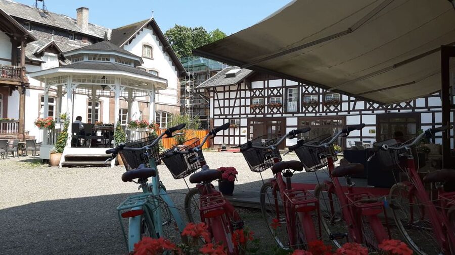 Strasbourg: 1-Day Bike Rental - Seeing Strasbourg by bicycle