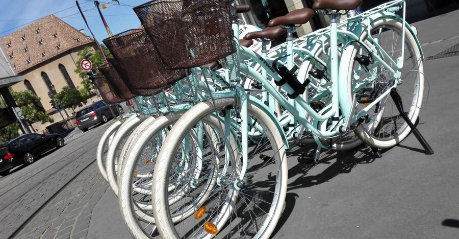 Strasbourg: 1-Day Bike Rental - What the $29 price really buys