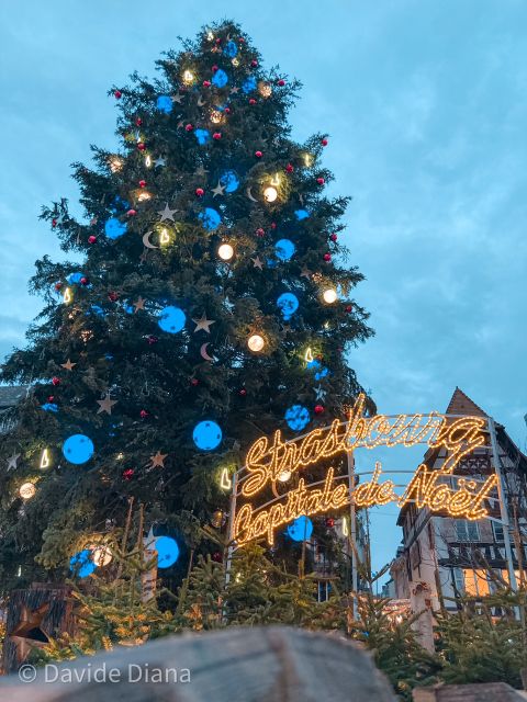 Strasbourg: Guided Historical Neighborhoods Walking Tour - Pace, Weather, and Comfort