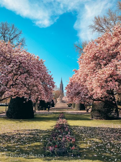 Strasbourg: Guided Historical Neighborhoods Walking Tour - Place Broglie and Strasbourg’s Grand Public Spaces