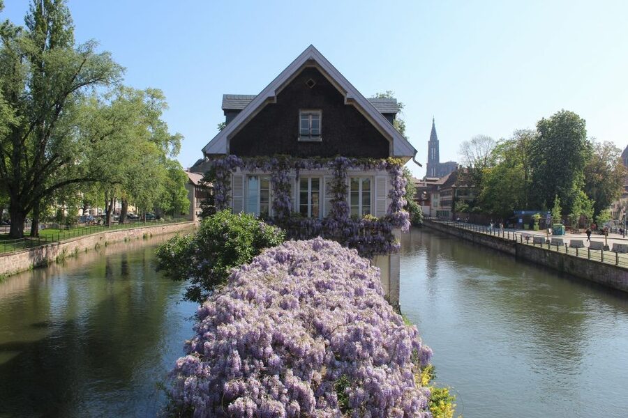 Strasbourg: Walking Tour with Local Guide - Key points to know before you book