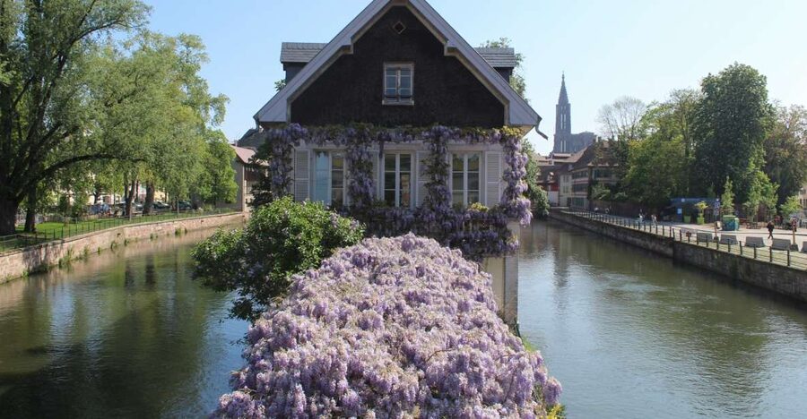Strasbourg: Walking Tour with Local Guide - Why this walk works so well as your Strasbourg introduction