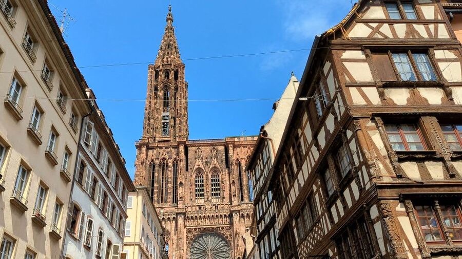 Strasbourg: Walking Tour with Local Guide - The Tonneliers district and the food advice