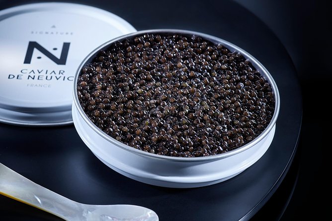 Sturgeon Fish-Farm Visit and Caviar Discovery Tasting in Neuvic - The sturgeon-handling moment