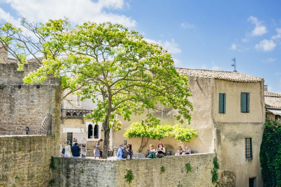 Toulouse: Carcassonne Day Trip by Coach with Audioguide - Who should book this Carcassonne trip