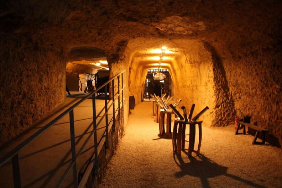 Tours/Amboise: Chambord, Chenonceau Day Trip & Wine Tasting - Wine, caves, and lunch in Amboise