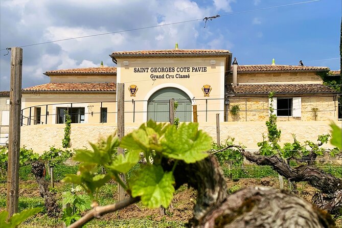 Visit and Tasting Château Saint-Georges Cote Pavie, Grand Cru Classé - Key points at a glance