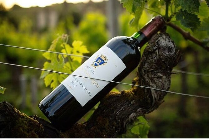 Visit and Tasting Château Saint-Georges Cote Pavie, Grand Cru Classé - Why the $21.77 price makes sense