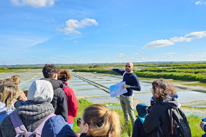 Visit to Saline - Guérande Salt Marshes - Why Guérande salt is worth an hour of your time
