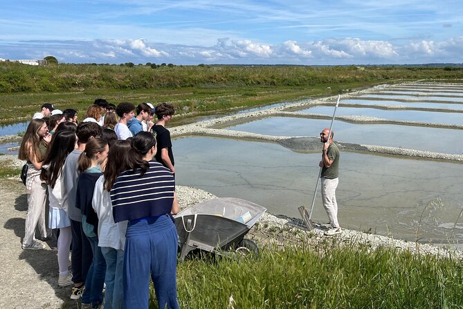 Visit to Saline - Guérande Salt Marshes - The five-minute stop at Le Natursel
