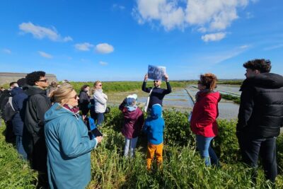 Visit to Saline – Guérande Salt Marshes